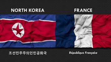 Francia y norte Corea bandera ondulación juntos sin costura bucle pared fondo, bandera país nombre en Inglés y local nacional idioma, 3d representación video