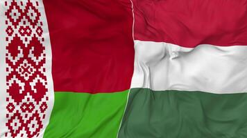 Belarus and Hungary Flags Together Seamless Looping Background, Looped Bump Texture Cloth Waving Slow Motion, 3D Rendering video