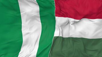 Nigeria and Hungary Flags Together Seamless Looping Background, Looped Bump Texture Cloth Waving Slow Motion, 3D Rendering video