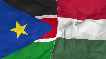 South Sudan and Hungary Flags Together Seamless Looping Background, Looped Bump Texture Cloth Waving Slow Motion, 3D Rendering video