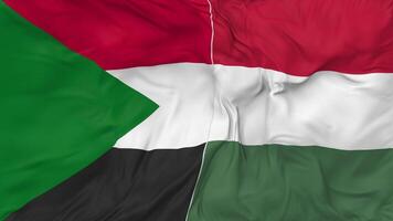 Sudan and Hungary Flags Together Seamless Looping Background, Looped Bump Texture Cloth Waving Slow Motion, 3D Rendering video