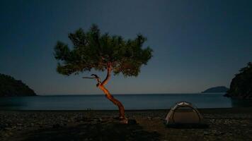 Beautiful night view of the sea bay, tents and tree. Freedom and travel concept. Time lapse. video