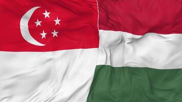 Singapore and Hungary Flags Together Seamless Looping Background, Looped Bump Texture Cloth Waving Slow Motion, 3D Rendering video