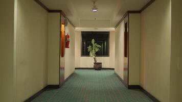 Empty hotel corridor with decorative plants and artwork, symmetrical perspective view. video