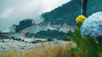 brumoso montaña paisaje con geotermia actividad, presentando vapor ventilaciones y lozano verdor en el primer plano. video