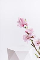 White podium or pedestal with pink cherry blossom twigs. Cosmetic template photo