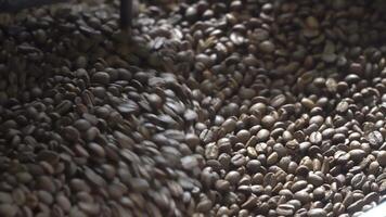 Freshly roasted coffee beans from a large coffee roaster. Roasting coffee beans at Roasting equipment. Coffee beans are spinning in a machine. Close-up. video