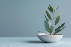 AI generated Plant in white bowl on table photo