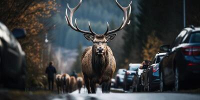 ai generado alce cruzar el la carretera. conservación salvaje animales seguro conduciendo. generativo ai foto