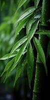 AI generated vertical shot of bamboo branches with raindrops. Generative AI photo
