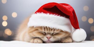 AI generated Sleepy ginger kitten in red Santa Claus hat. New Year holiday background. Generative AI photo