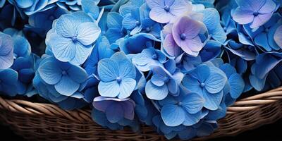 AI generated Blue hydrangeas in a basket close-up, flowers. Generative AI photo