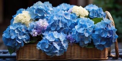 AI generated Blue hydrangeas in a basket close-up, flowers. Generative AI photo