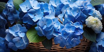 ai generado azul hortensias en un cesta de cerca, flores generativo ai foto