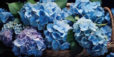 AI generated Blue hydrangeas in a basket close-up, flowers. Generative AI photo