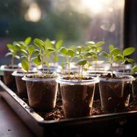 AI generated young small plants in pots on the window, house plants. Generative AI photo