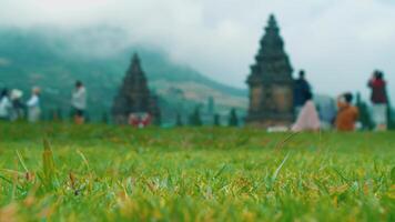 Blurred background of tourists at a historic temple site with vibrant green grass in the foreground. video