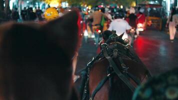 Sobre o ombro Visão do uma ocupado urbano rua às noite com borrado luzes e tráfego a partir de uma ciclista perspectiva. video