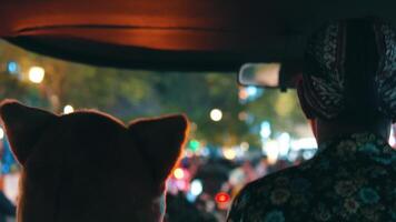 Rear view of a person in a vehicle at night, city lights creating a bokeh effect in the background. video