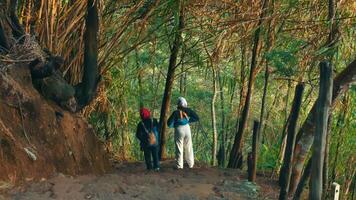 twee wandelaars wandelen door een weelderig Woud spoor omringd door groen en bomen. video