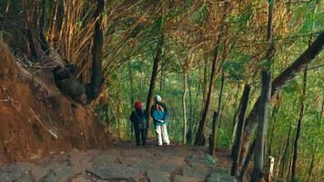 dos caminantes en un bosque sendero rodeado por verdor y árboles, explorador naturaleza juntos. video