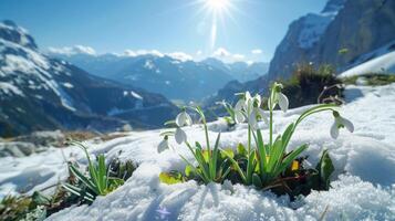 ai generado foto de hermosa campanillas viniendo fuera de nieve