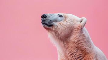 ai generado un polar oso en un pastel aislado antecedentes foto