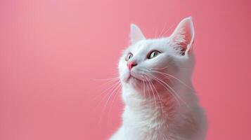 AI generated A cat on a pastel isolated background photo