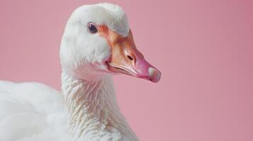 AI generated A goose on a pastel pink background photo