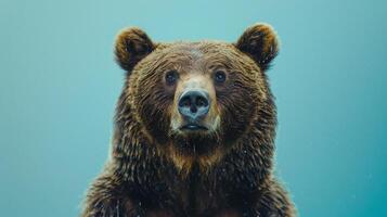 ai generado un oso en un pastel azul antecedentes foto