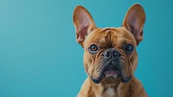 ai generado un perro en un pastel azul antecedentes foto