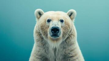 ai generado un polar oso en un pastel aislado antecedentes foto