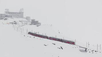 Zermatt, Schweiz - - das Zug von Gonergratbahn Laufen zu das gornergrat Bahnhof im das berühmt touristisch Platz mit klar Aussicht zu Matterhorn während ein schwer Schnee Sturm. video