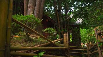 Person standing on a wooden bridge in a lush forest setting with green foliage and a cabin in the background. video