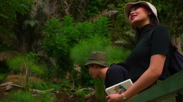 turistas con un guía explorador, uno señalando fuera alguna cosa interesante en un lozano verde ajuste. video