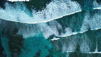 volante al di sopra di grande barriera scogliera, gigante onde caraibico mare. domenicano repubblica video