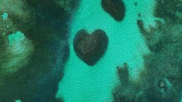 aéreo parte superior ojo de pájaro ver vitrinas en forma de corazon coral arrecife rodeado vibrante turquesa aguas de tropical paraíso, situado en caribe mar dentro atlántico océano. enfocar en. video