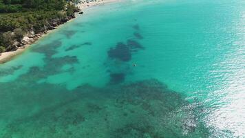 antenn över huvudet perspektiv av enslig katamaran segling i expansiv turkos vattnen av karibiska hav, med pittoresk strand i bakgrund. flygande fram. Dominikanska republik, macao video