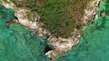 Aerial top view of cliff adorned with lush greenery overlooking shimmering turquoise sea. Waves crash against rocky shore. Zoom in. Punta Cana, Dominican Republic. video