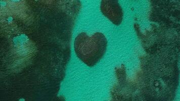 Area top view at Heart-shaped barrier reef. Caribbean Sea. Vertical video