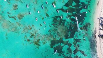 Aerial top view of tropical island in Great Barrier Reef with coral reef and sailing yachts. Boats and super yachts are on holiday, voyaging across ocean. Background. Zoom in video