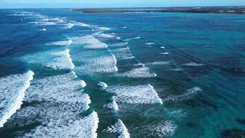 fliegend Über großartig Barriere Riff, Riese Wellen Karibik Meer. dominikanisch Republik video