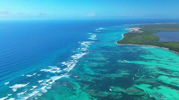 tropical costa con resorts y turquesa caribe mar. aéreo ver video