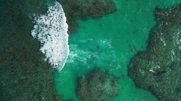 Aerial top view of clear turquoise water reveals coral beneath as long white waves roll by, in vertical perspective. Caribbean sea. Atlantic ocean. Background. Vertically video