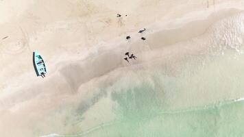 aereo superiore Visualizza di soleggiato giorno a tropicale spiaggia con trasparente acque, pesca Barche foderato lungo costa, e turisti svolgimento e godendo loro stessi. sfondo. spazio per testo. astrazione. video