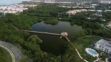 Aerial cinematic view of footbridge with gazebo with jungle backdrop and lake video