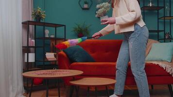 Joyful young woman dusting furniture caring for hygiene using colorful duster in living room at home video