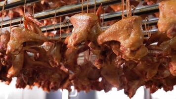 Smoked Chickens Hanging in Food Processing Unit, Rows of smoked chickens hanging in a commercial smoking unit for food processing. video