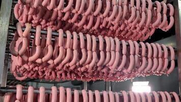 Freshly Processed Sausages on Cooling Racks, Rows of freshly processed pink sausages hanging on cooling racks in a meat processing facility. video