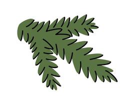 mano dibujado invierno ilustración de pino ramita. rama de abeto, abeto. conífera floral diseño. linda sencillo agujas botánico impresión. plano en de colores garabatear estilo. aislado. vector